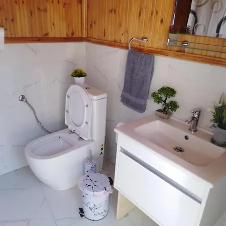 בית נופש Traditional House In Pelendri *