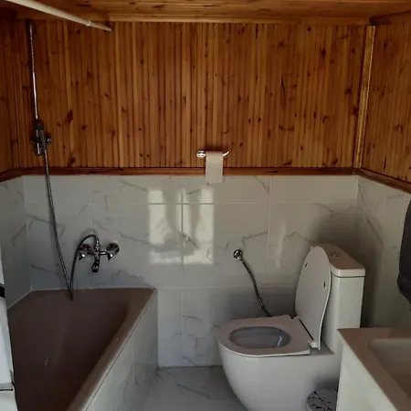 Traditional House In Pelendri *